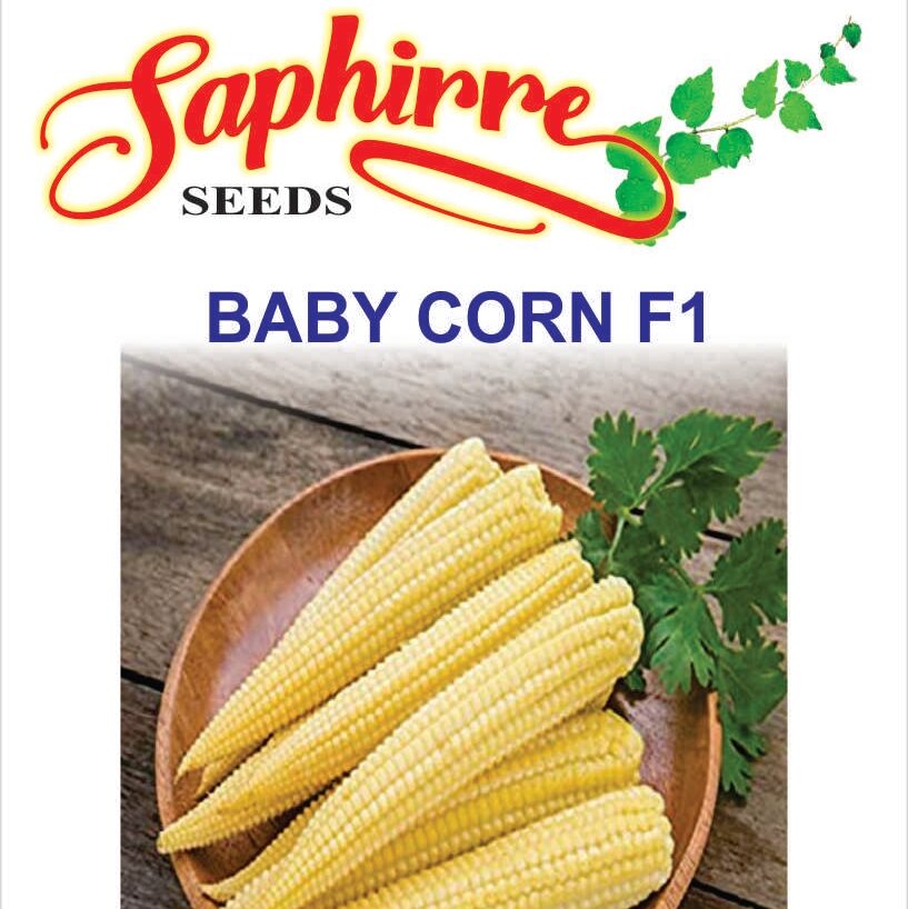 BABY-CORN