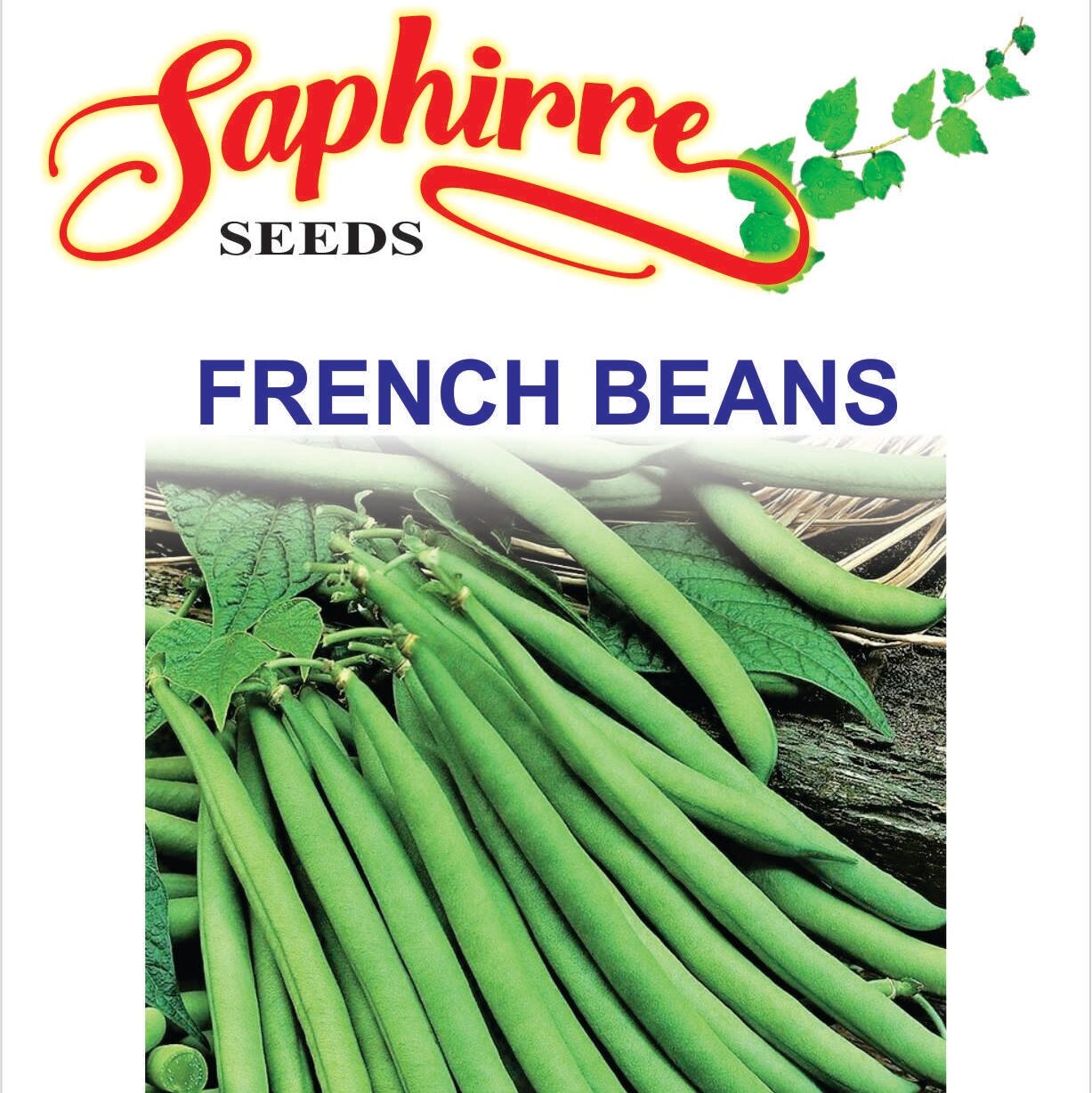 BEANS-FRENCH