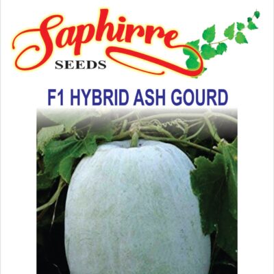 Ash Gourd, Methai Petha - Vegetable Seeds