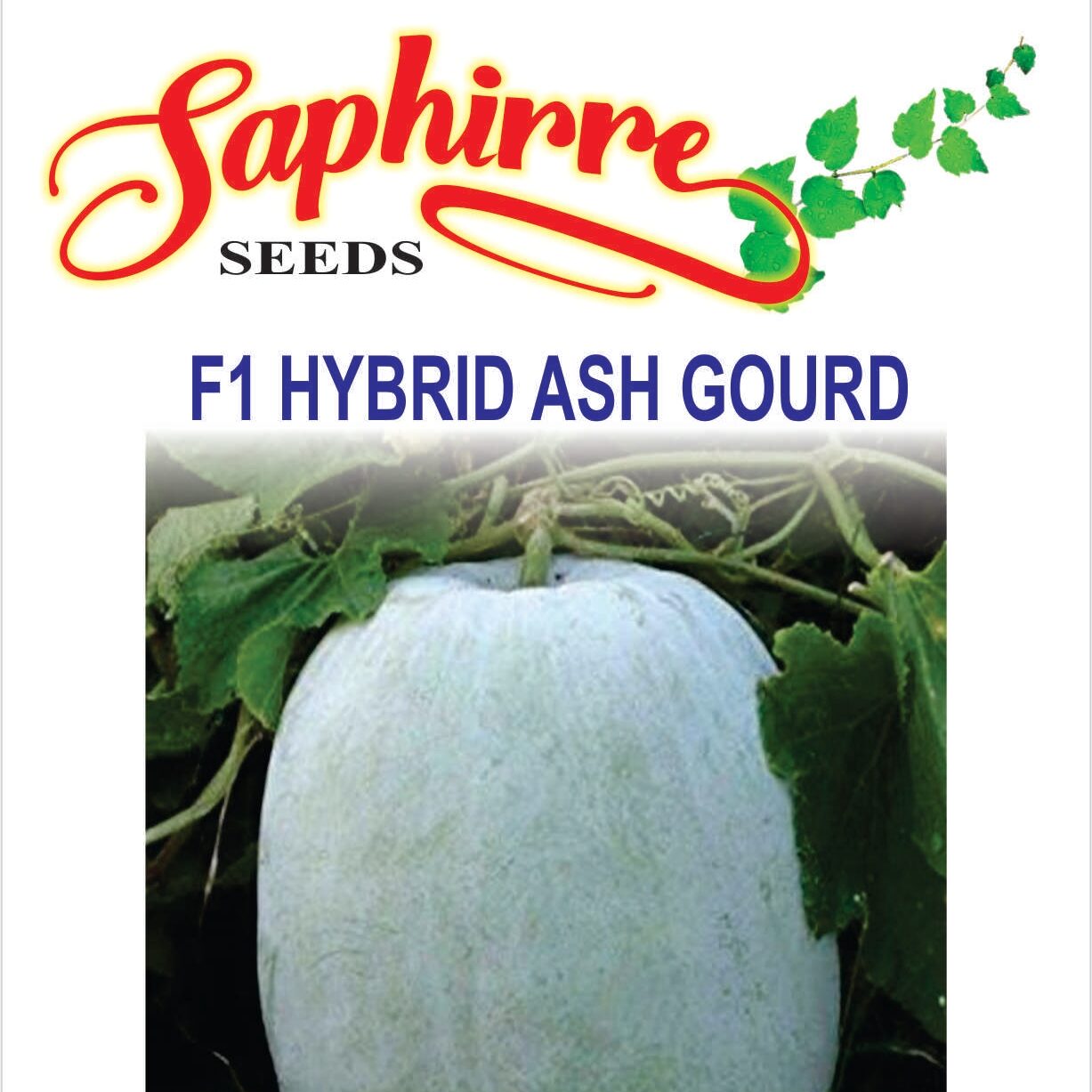 ash-gourd