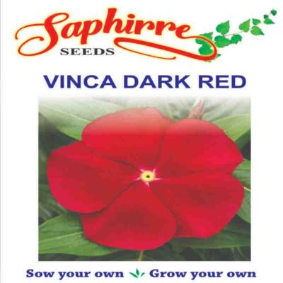 Vinca F1 Dark Red - Flower Seeds