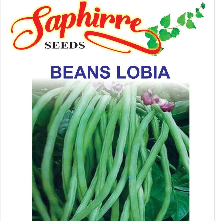 beans-lobia
