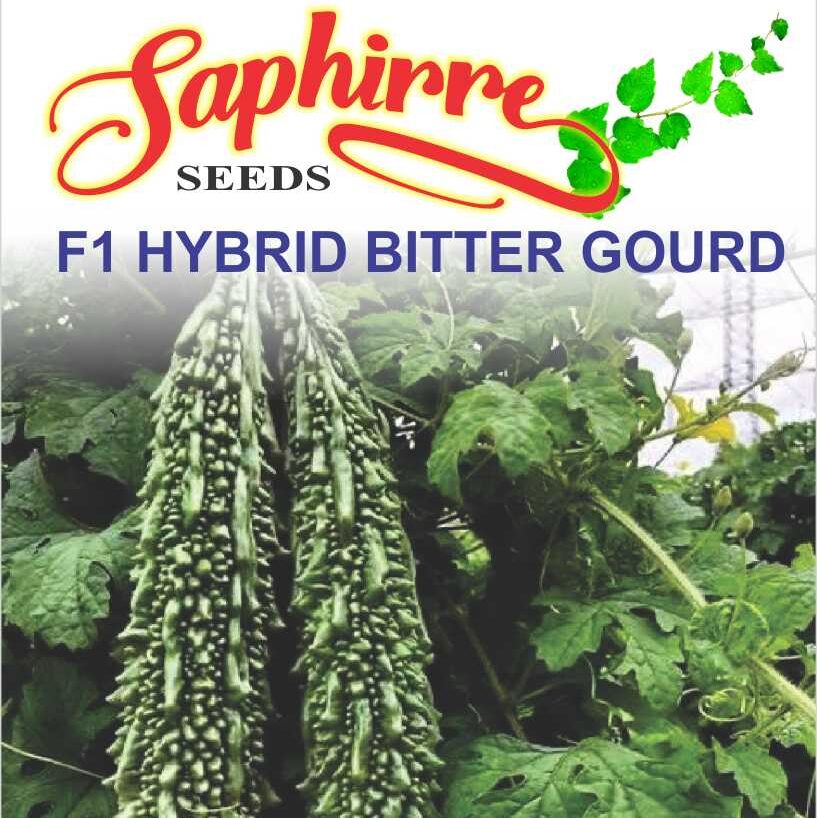 bitter-gourd