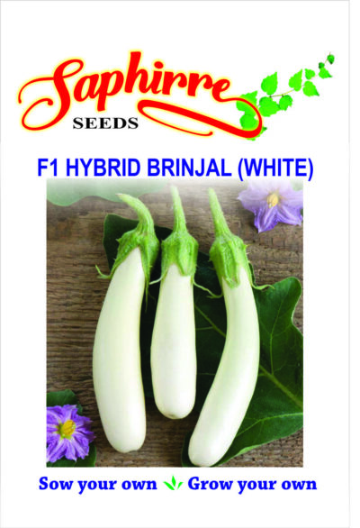 F1 Brinjal White Long, vegetable seeds