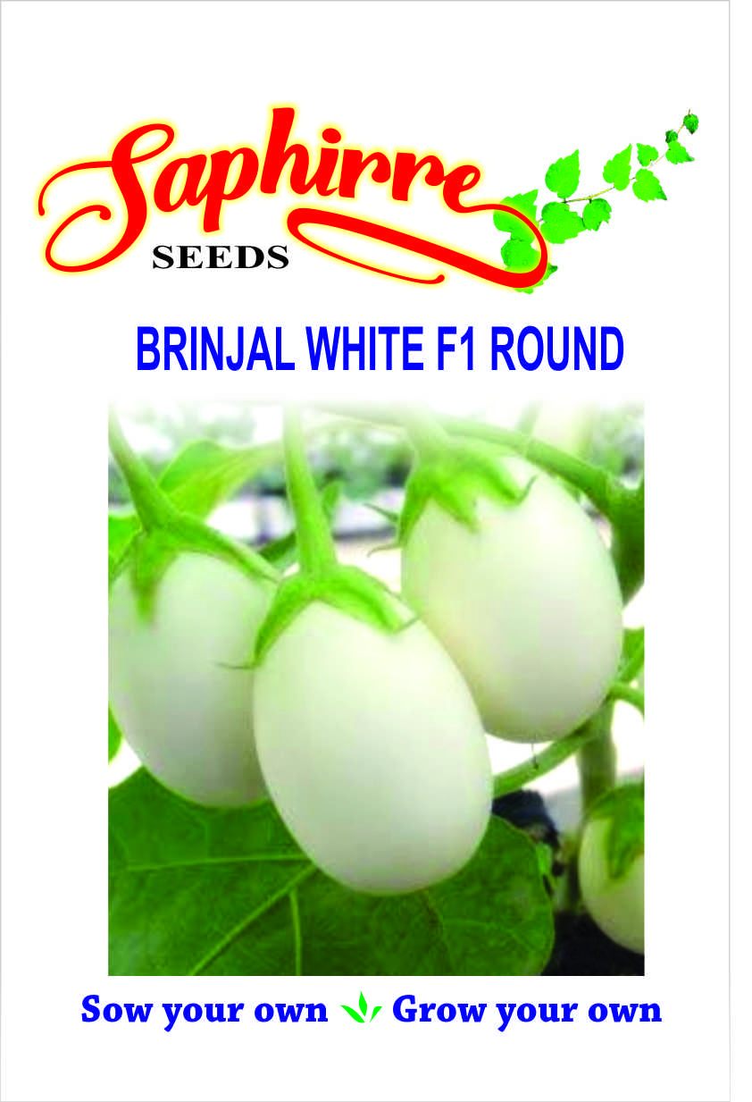brinjal-white-round