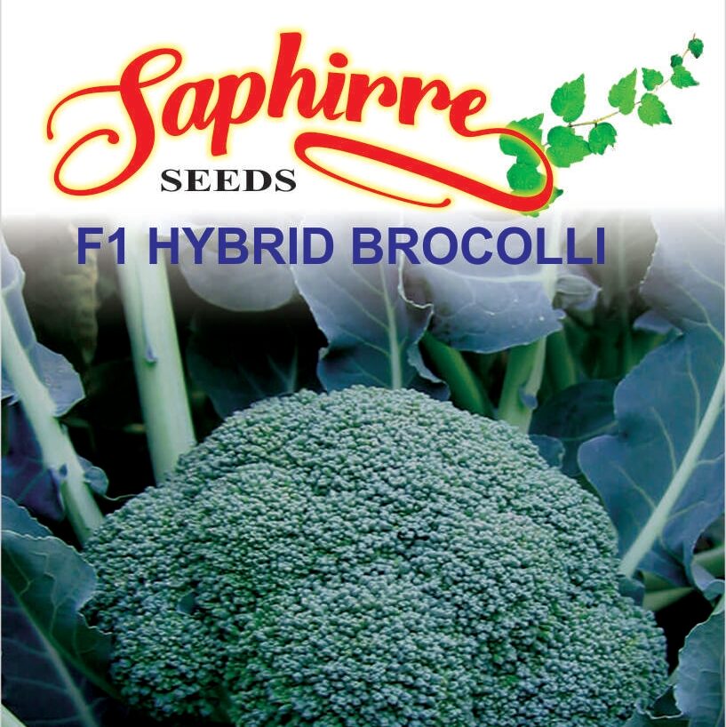 brocolli
