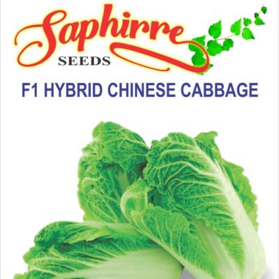 Cabbage Chinese Wong Bok - Vegetable Seeds