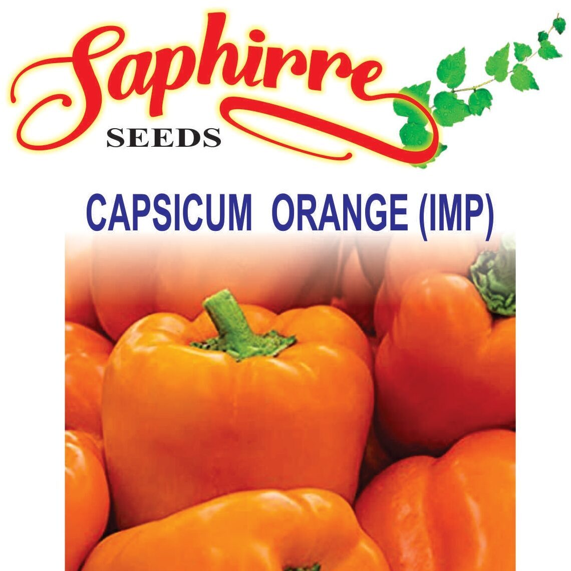 capsicum-orange