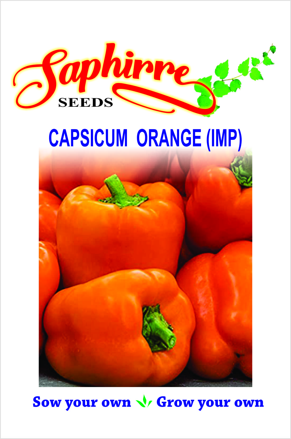 capsicum-orange