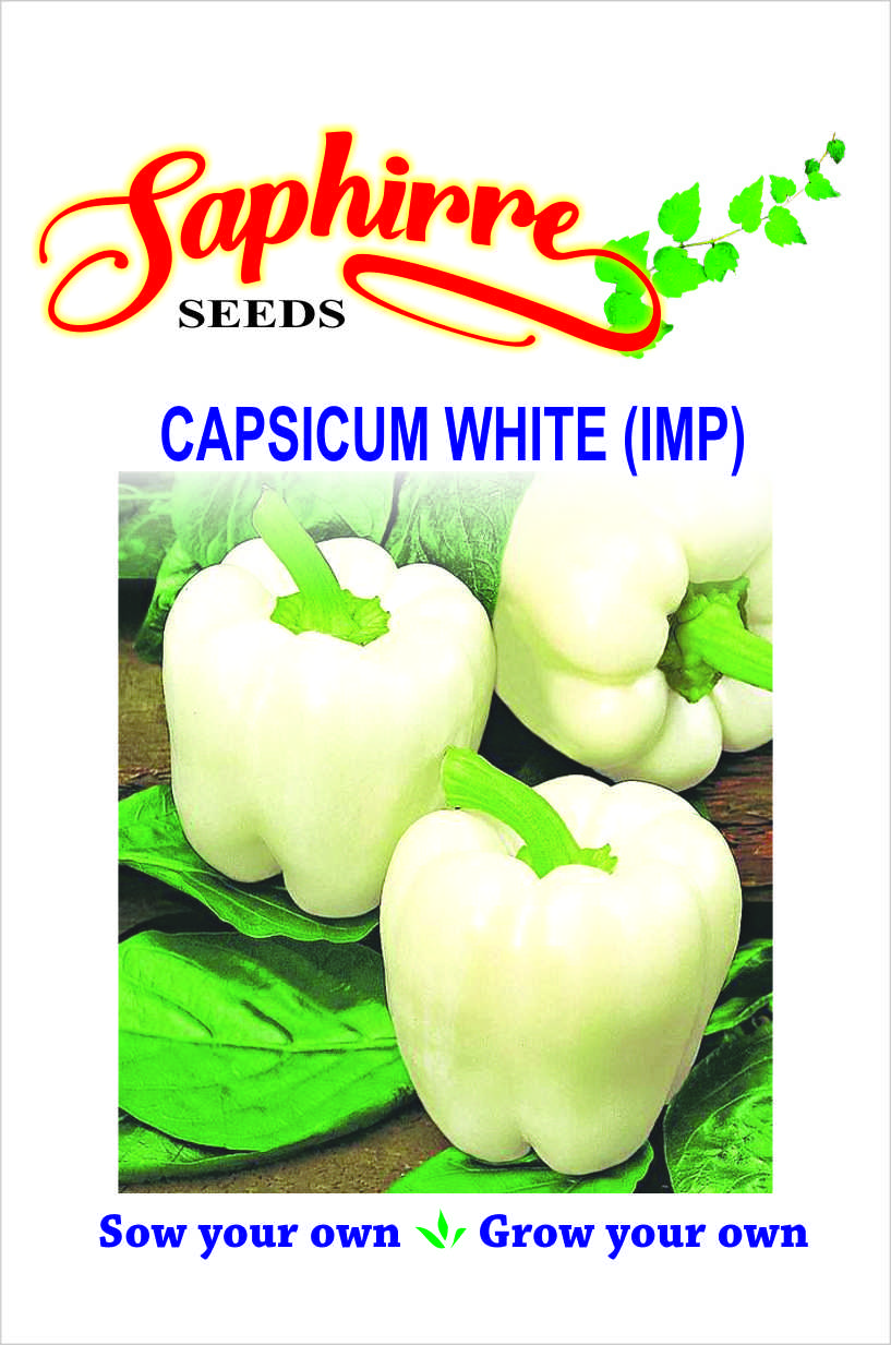 capsicum-white