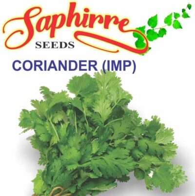 Coriander ( Dhaniya) - Desi Vegetable Seeds