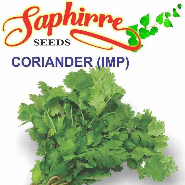 corriander