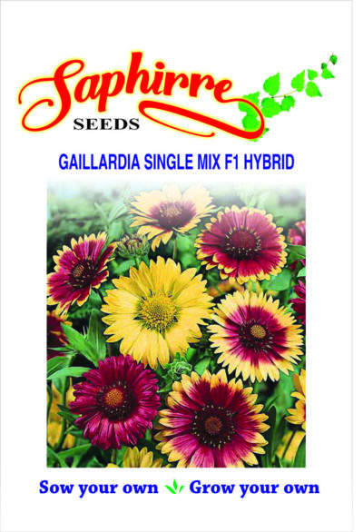 Gaillardia F1 Hybrid Mixed Color - Flower Seeds