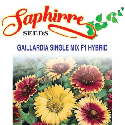 Gaillardia F1 Hybrid Mixed Color - Flower Seeds
