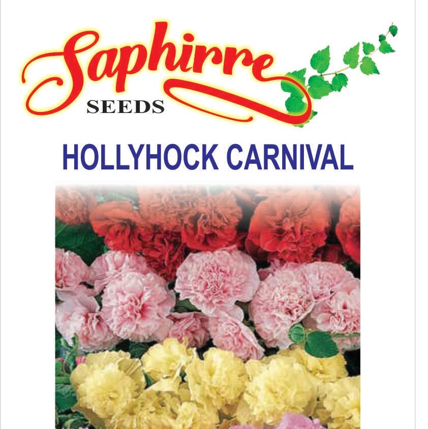 f-hollyhock