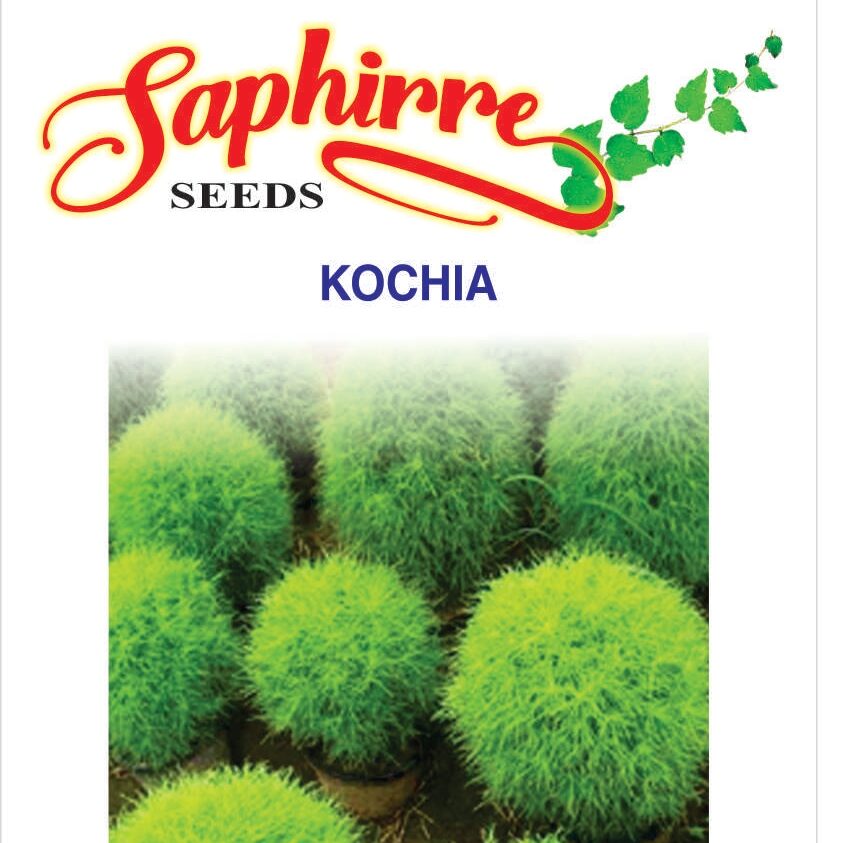 f-kochia